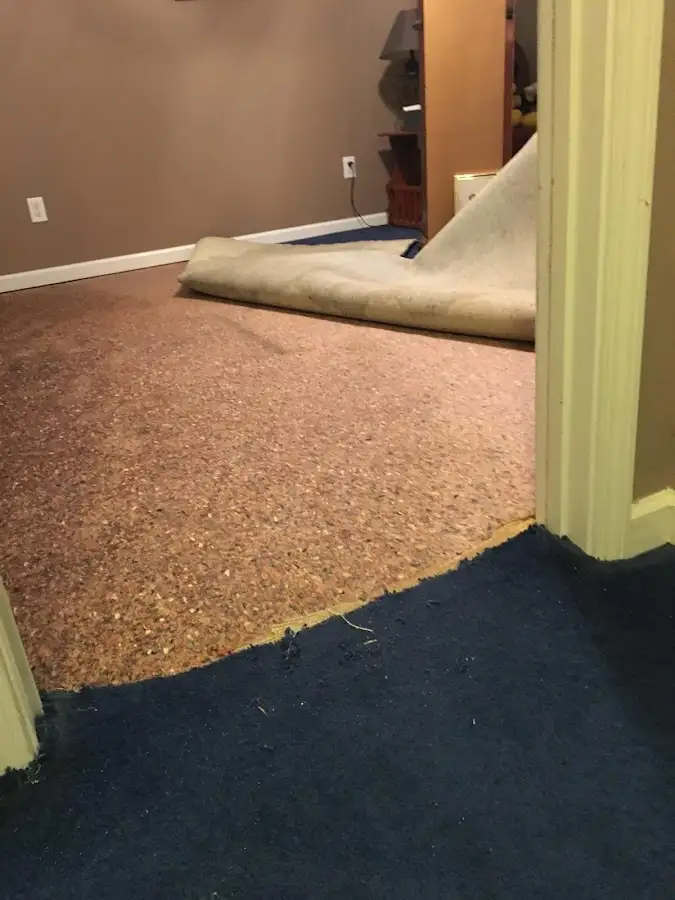 Carpet pad removal revealing water damage during Drying & Dehumidification in Glendale