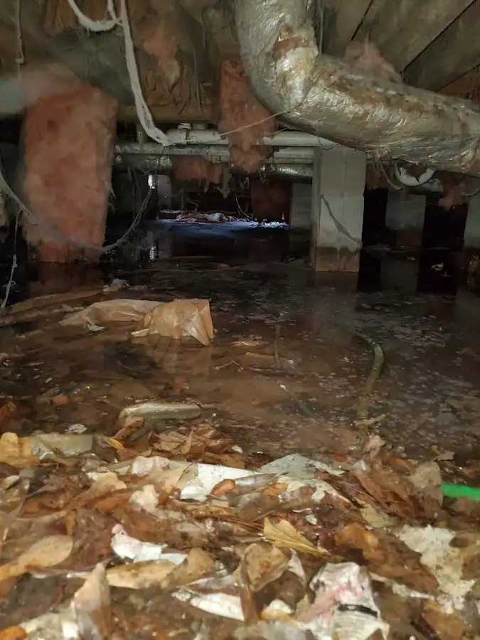 Crawl space flood assessment for Commercial Water Damage Restoration in Glendale